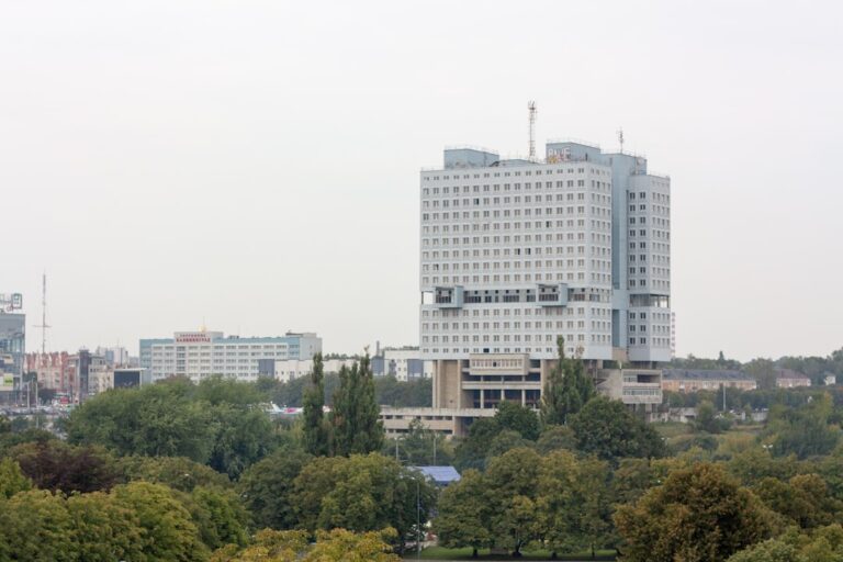 Jak załatwić sprawy urzędowe w Sochaczewie? Praktyczny poradnik