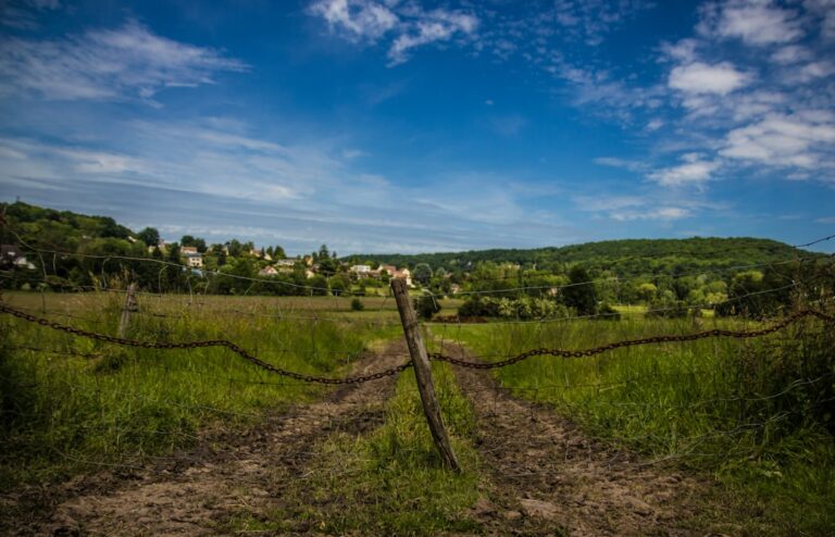 Najciekawsze wycieczki jednodniowe z Sochaczewa