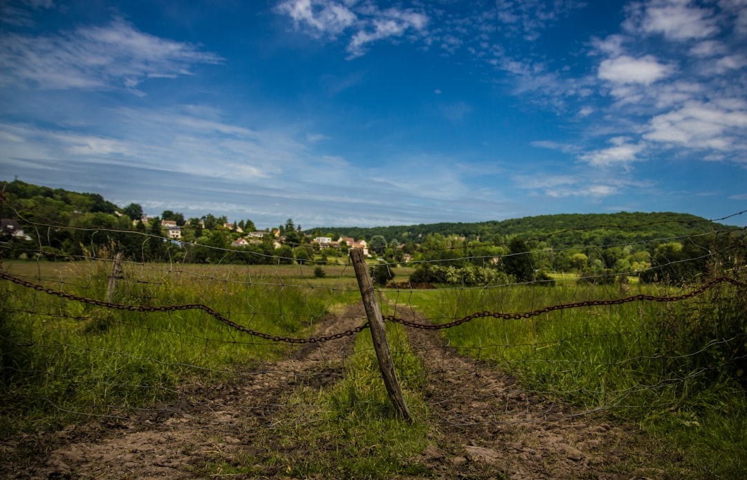 Najciekawsze wycieczki jednodniowe z Sochaczewa