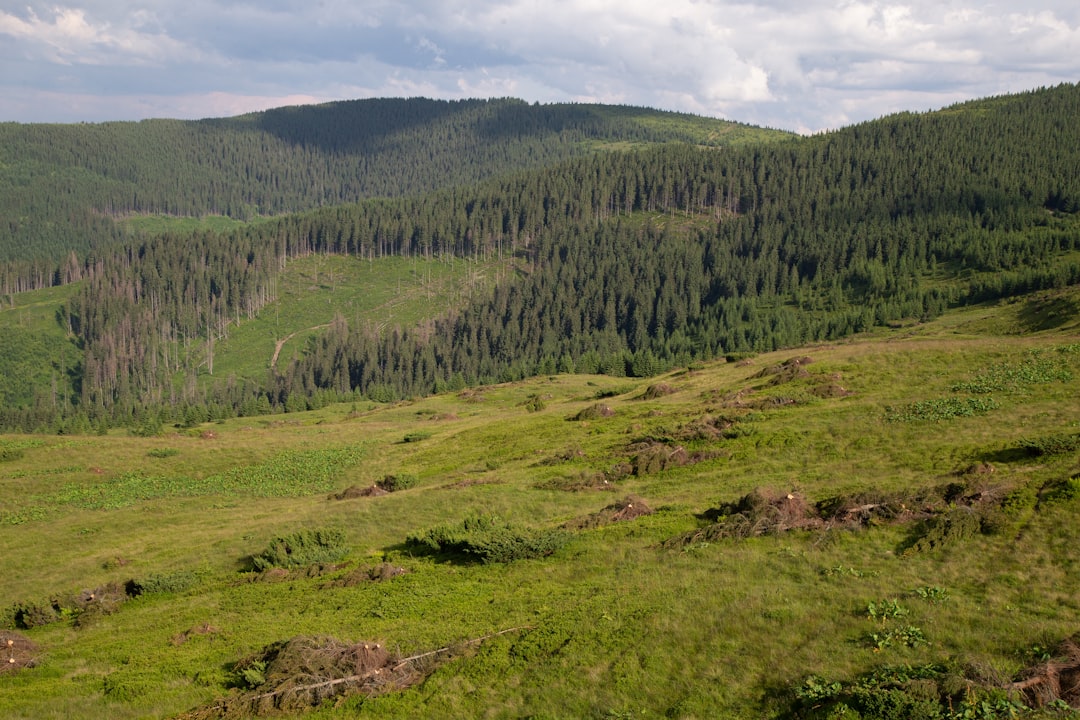 Rezerwaty przyrody w okolicach Sochaczewa – przewodnik